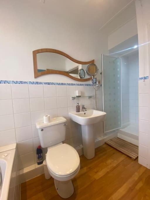 Dog Friendly Close To The And The Town
